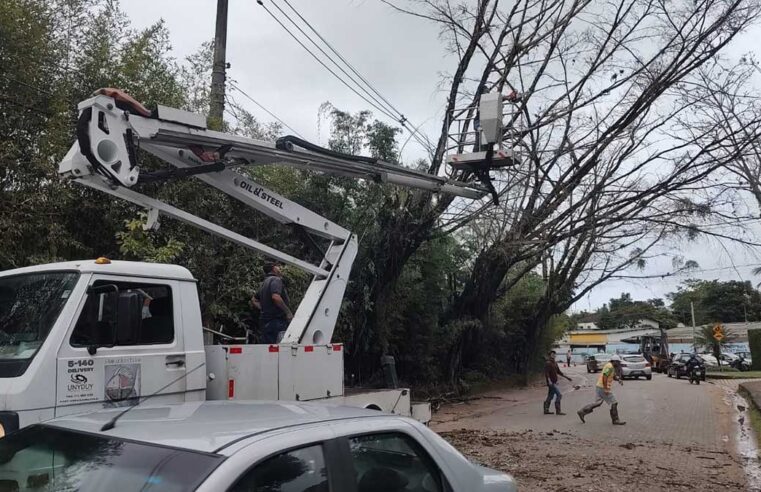 Frente fria traz chuva de 67,7 mm e ventos de 61 km derrubam árvores em São Sebastião