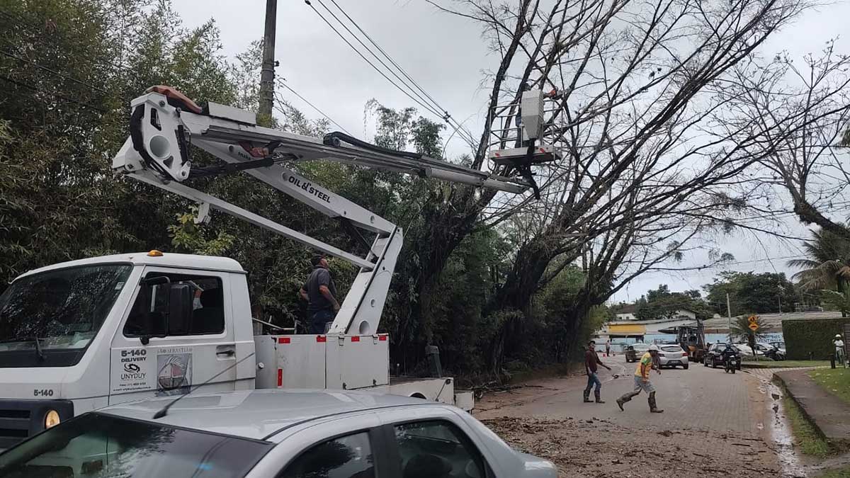 Frente fria traz chuva de 67,7 mm e ventos de 61 km derrubam árvores em São Sebastião