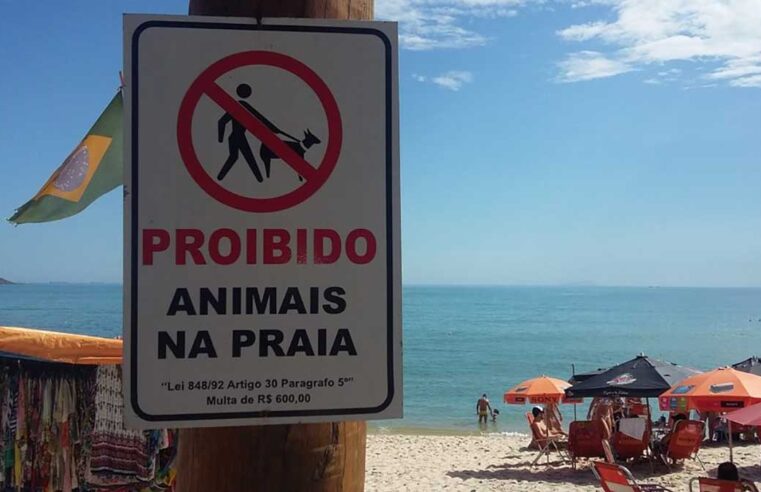 São Sebastião aumenta valor da multa para quem leva animais à praia