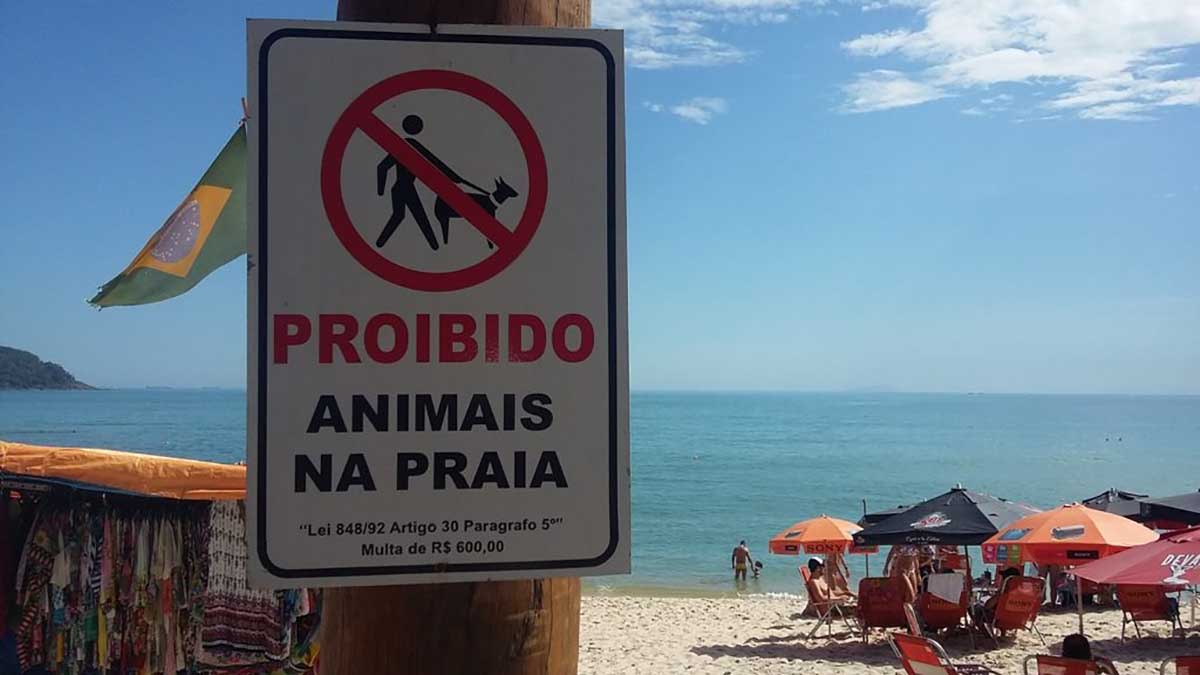 São Sebastião aumenta valor da multa para quem leva animais à praia