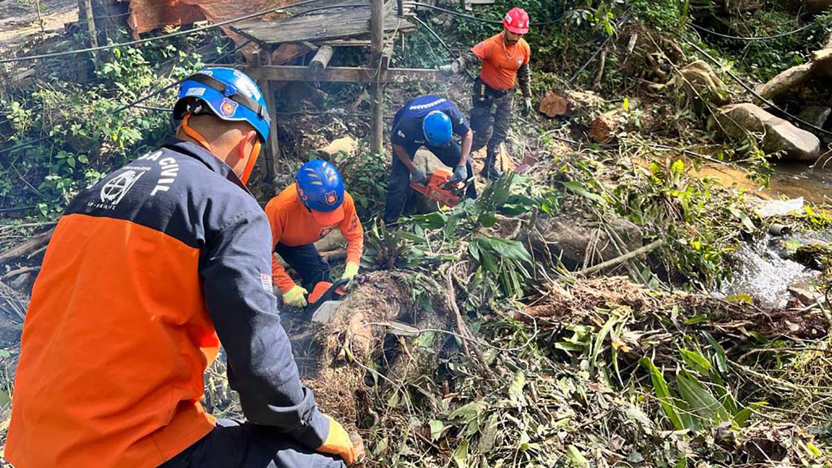 Defesa Civil do Estado realiza capacitação para o desenvolvimento de atividades de proteção em São Sebastião