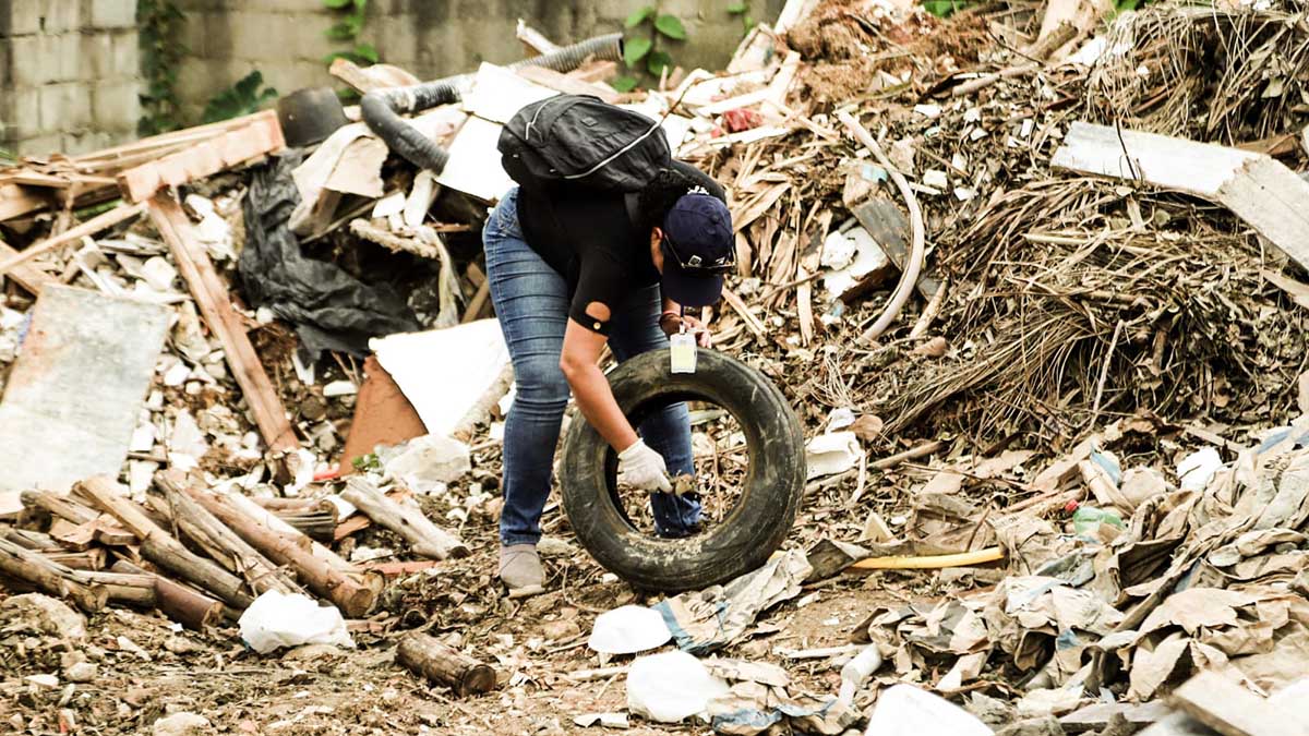 Prefeitura de São Sebastião visita mais de 12 mil imóveis para controle do Aedes aegypti e USFs passam a realizar testes de dengue