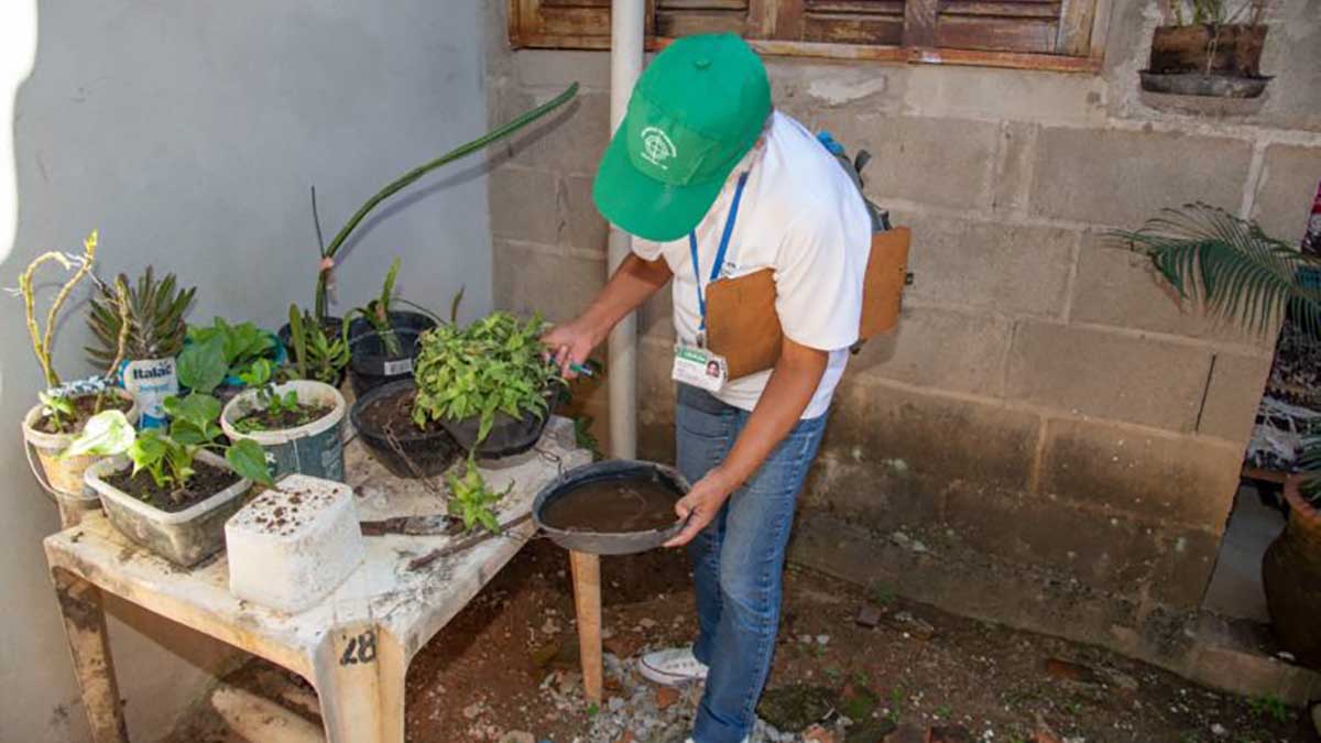 Ações contra dengue continuam por diversos bairros de Ubatuba