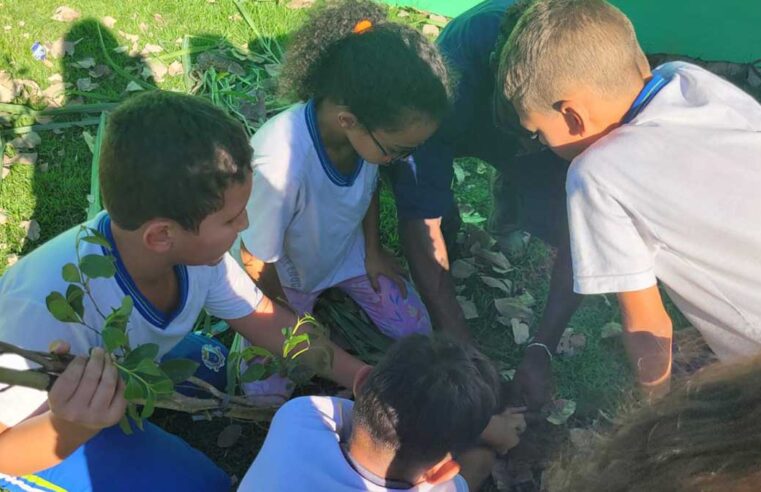 Escola de Ilhabela realiza plantio de mudas em parceria com Viveiro Municipal Aroeira