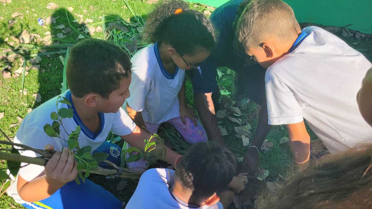 Escola de Ilhabela realiza plantio de mudas em parceria com Viveiro Municipal Aroeira