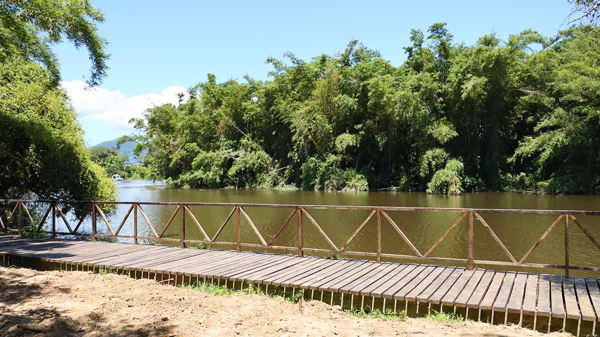 Prefeitura de Caraguatatuba divulga programação da Semana do Meio Ambiente